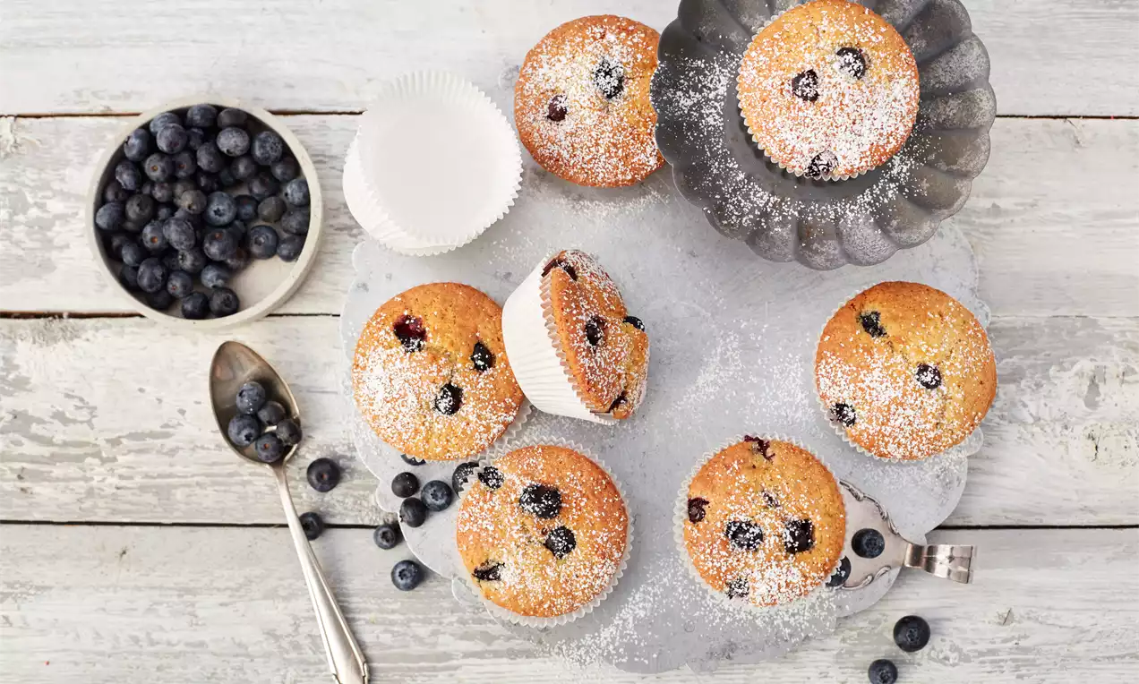 Blaubeer-Muffins mit Joghurt, goldbraun mit saftigen blauen Beeren, in Papierförmchen auf weißem Teller, leicht mit Puderzucker bestäubt