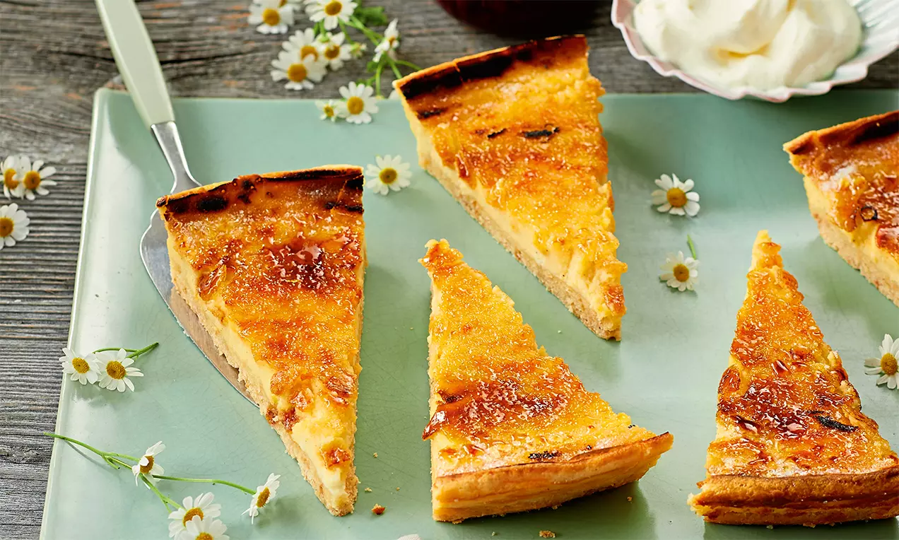 Goldbraune Käsekuchenstücke mit karamellisierter Oberfläche auf grünem Teller, dekoriert mit Kamillenblüten und Schlagsahne im Hintergrund