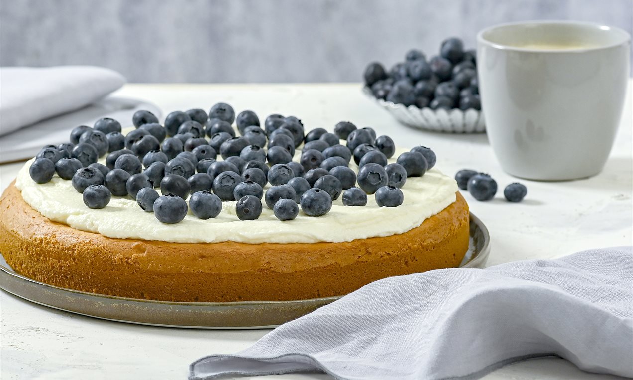 Blaubeer Joghurt Kuchen Rezept Dr Oetker