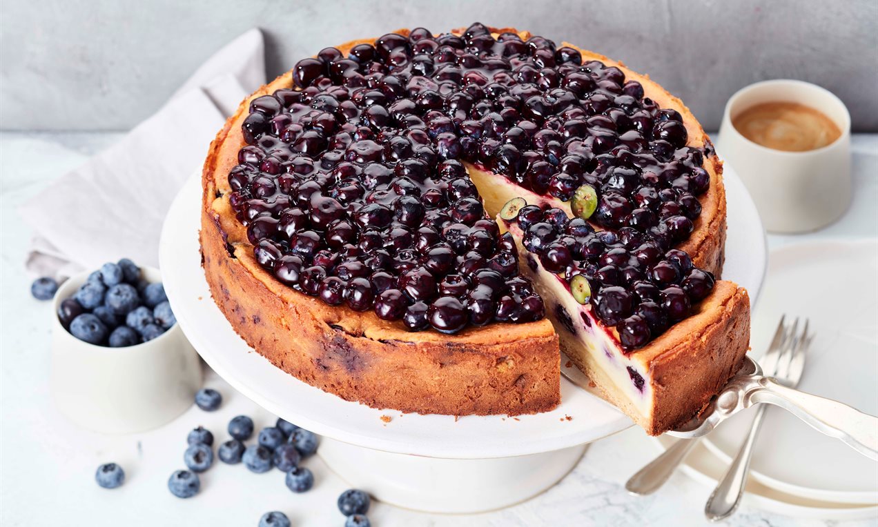 Käsekuchen mit Heidelbeeren Rezept | Dr. Oetker