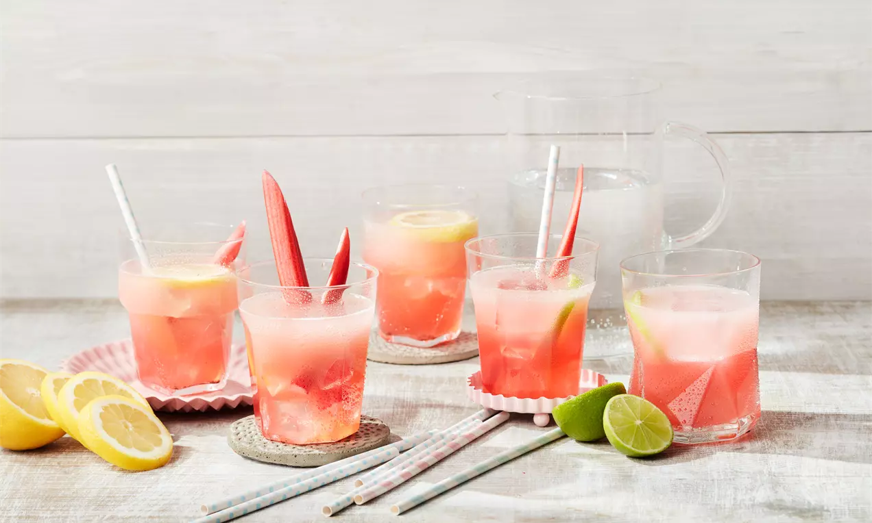 Rhabarber-Limonade in klarem Glas mit Eiswürfeln, rosafarbener Flüssigkeit, Zitronenscheibe am Glasrand und frischer Minze